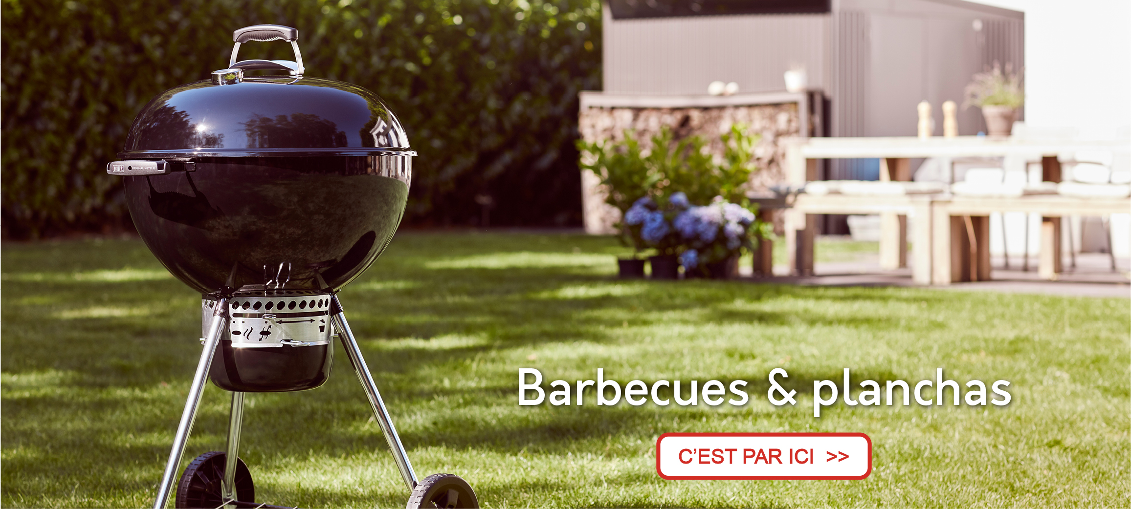 Barbecues & planchas